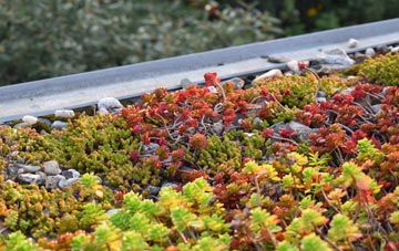 the cost of Dummer green roof installation