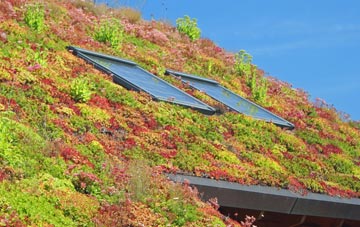 Dummer living roof systems